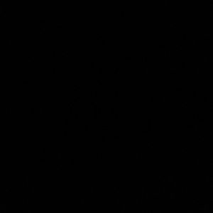 Meet your Posher, Lorenzo